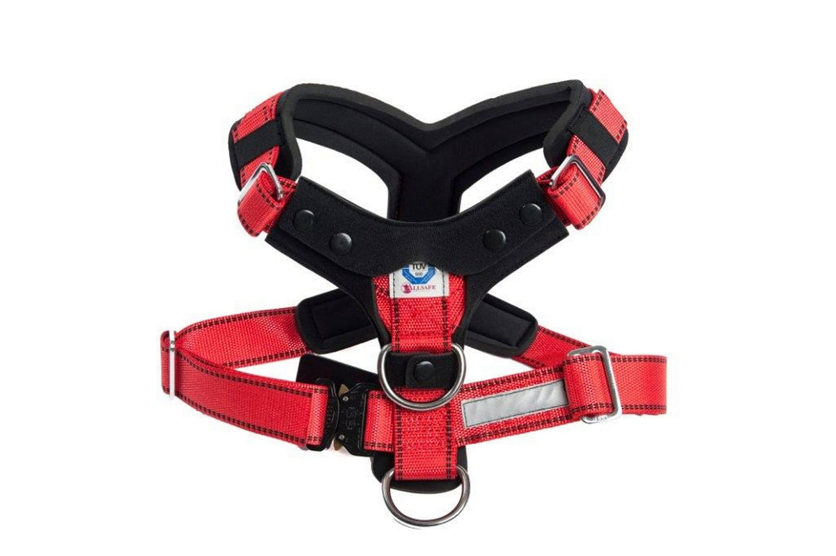 Comfort Safety Dog Harness F44944