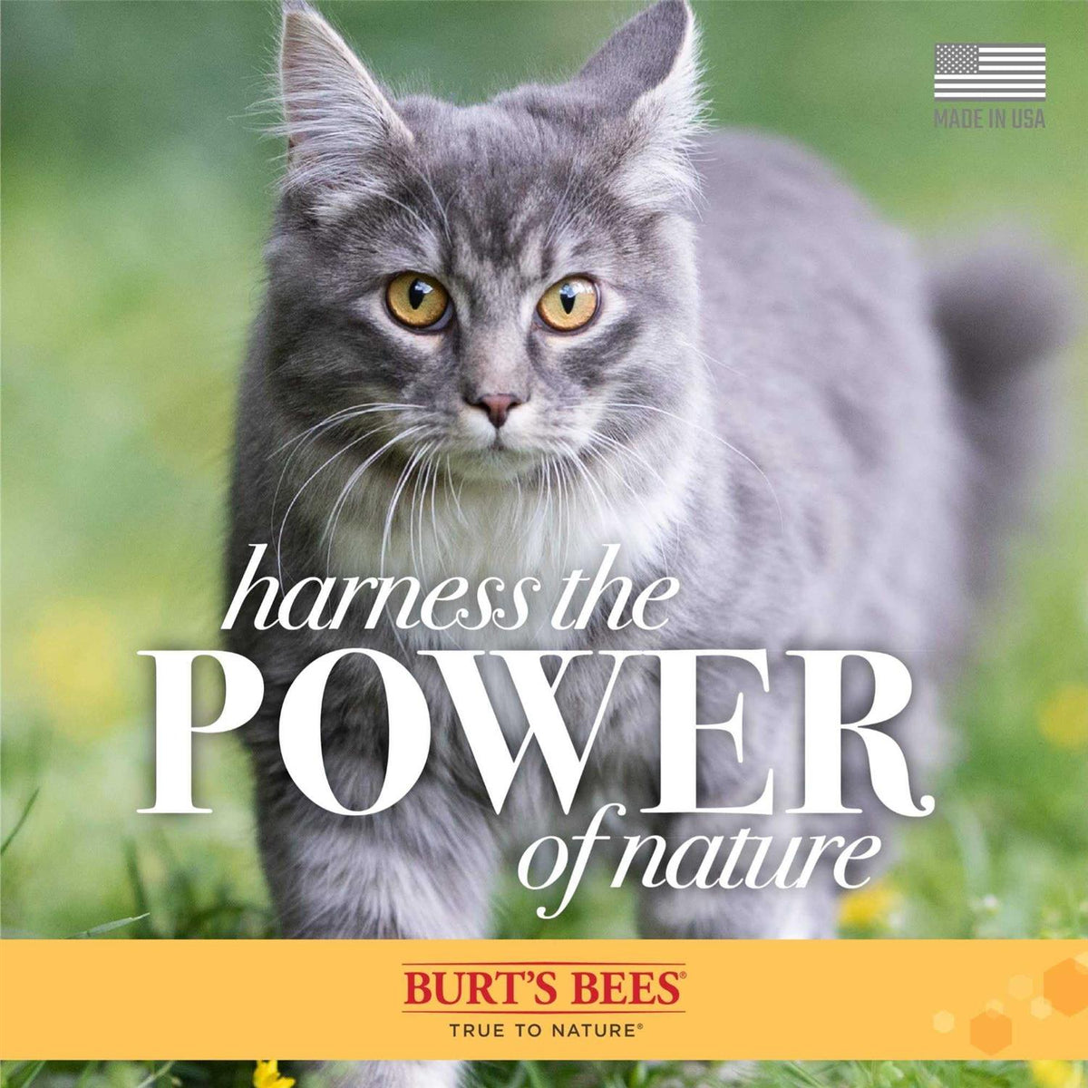 Waterless Cat Shampoo C3436