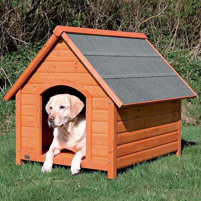 Natura Cottage A810013