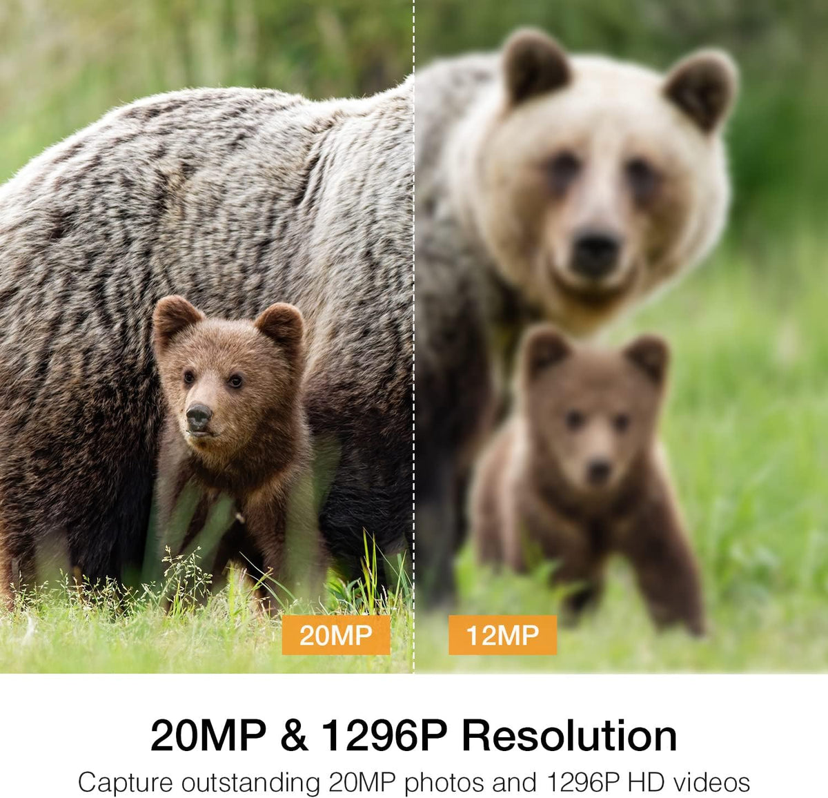 20MP 1296P WiFi Bluetooth Trail Camera with 940nm No Glow IR Night Vision Waterproof V69517