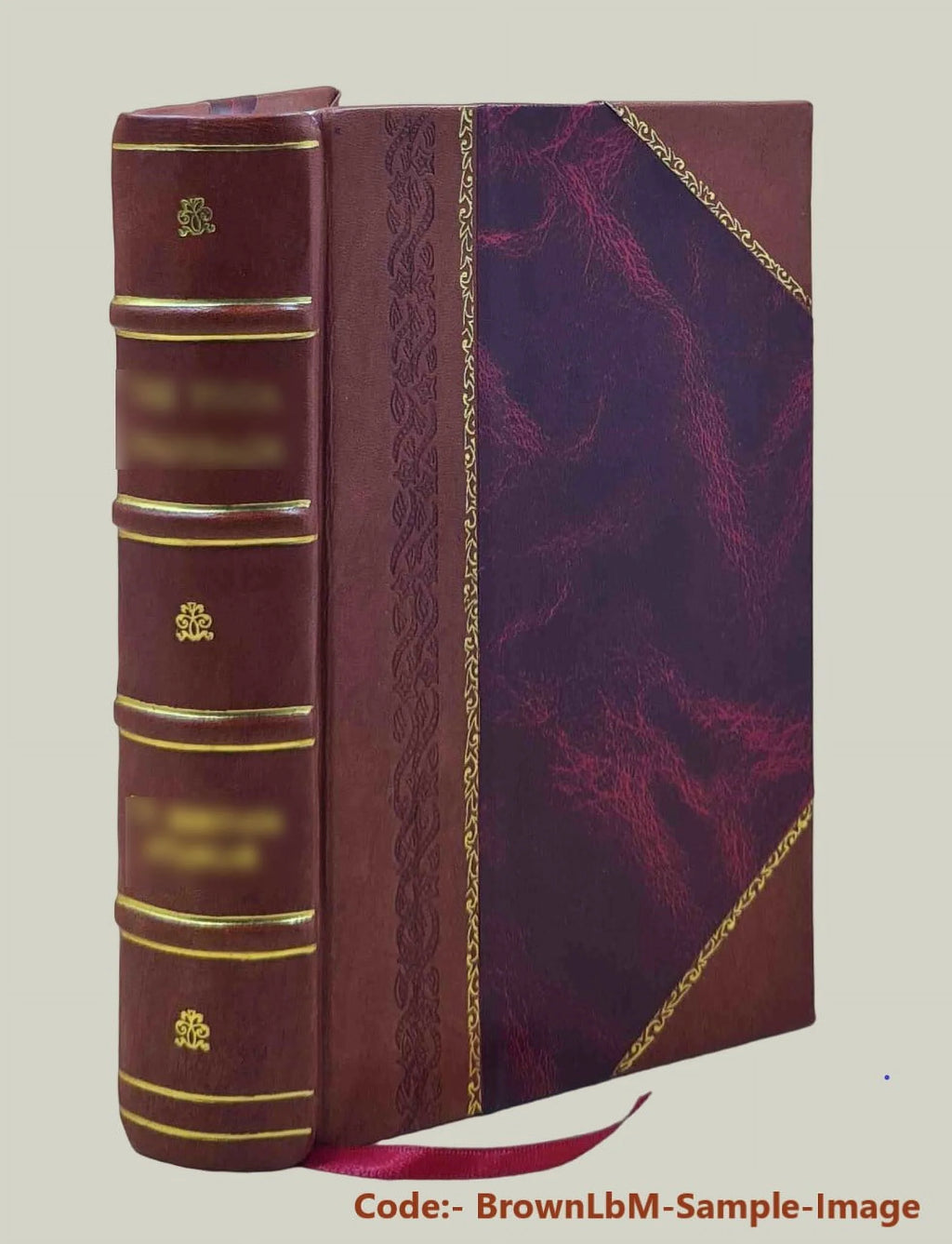 Leather Bound Bible M326