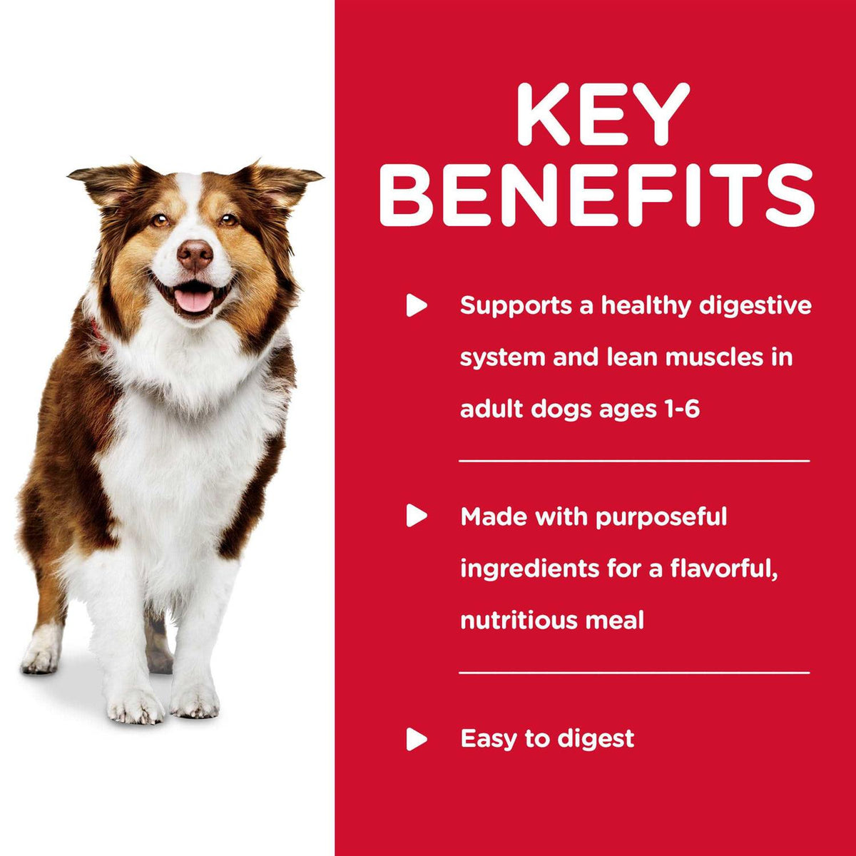 Healthy Cuisine Braised Beef U9720