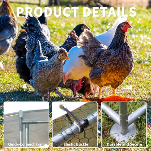 Large Metal Walk-in Chicken Coop with Anti-UV Cover Y915124