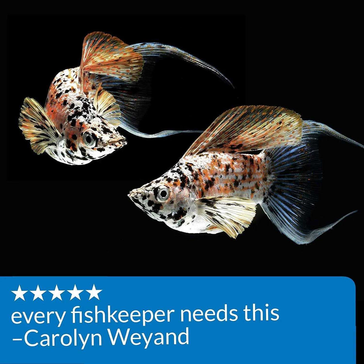 5 in 1 Aquarium Test Strips Y6480