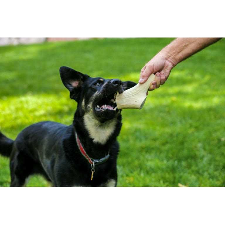 Large Thick Elk Antler 5 Pack Dog Chew Treat C95485