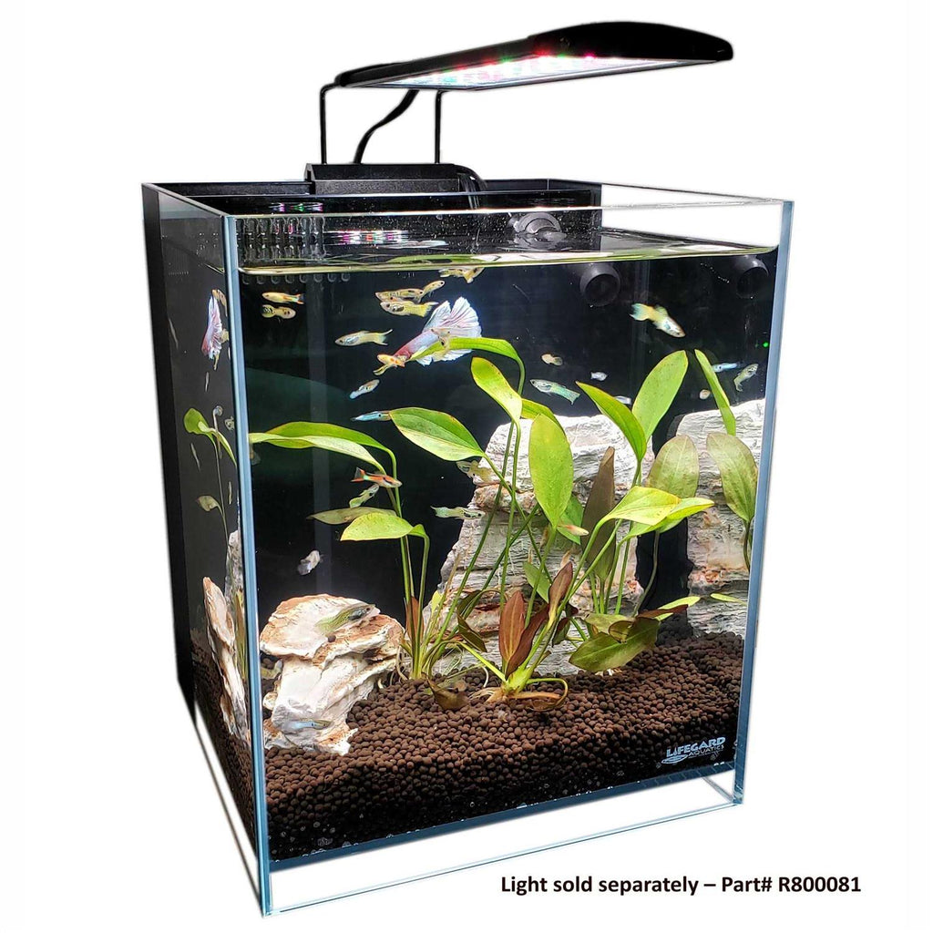 Ultra Low Iron Glass Aquarium with Filter F617588