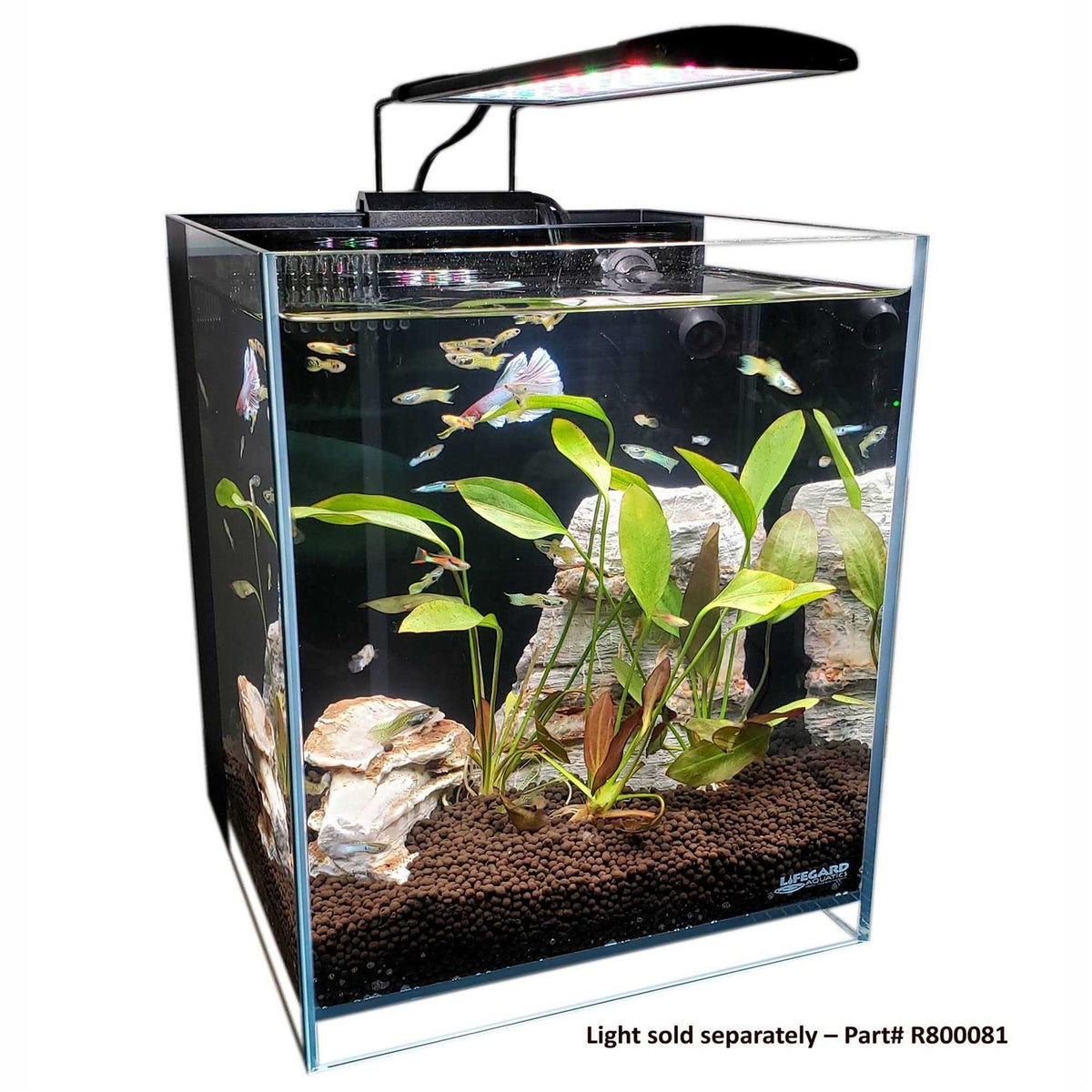 Ultra Low Iron Glass Aquarium with Filter F617588