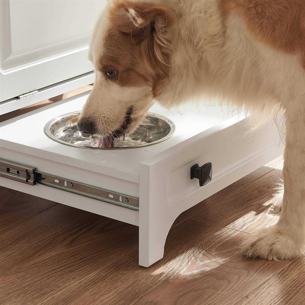 Modern Pet Feeding Station with 2 Elevated Dog Bowls Y104198