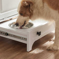 Modern Pet Feeding Station with 2 Elevated Dog Bowls Y104198