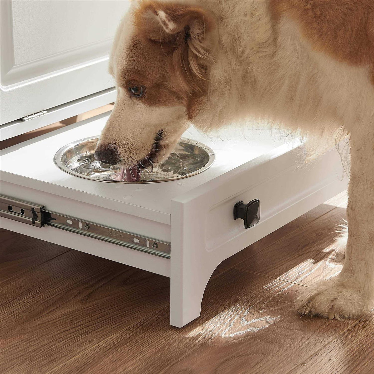 Modern Pet Feeding Station with 2 Elevated Dog Bowls Y104198