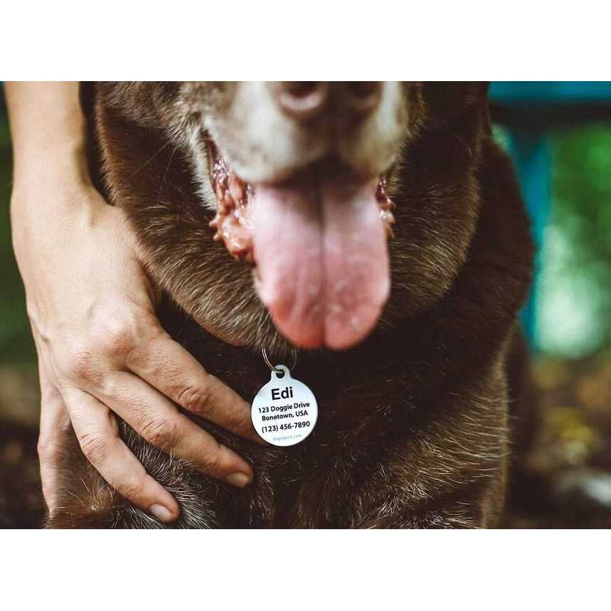 Microchip Alert Personalized Dog & Cat ID Tag V574