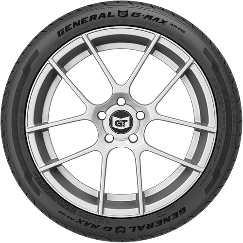 245/40ZR19 98W XL All Season Tire W6924