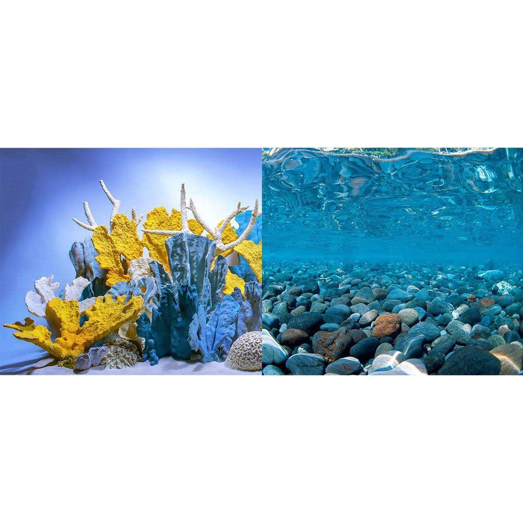 River Rock/Coral Bliss Background O92227