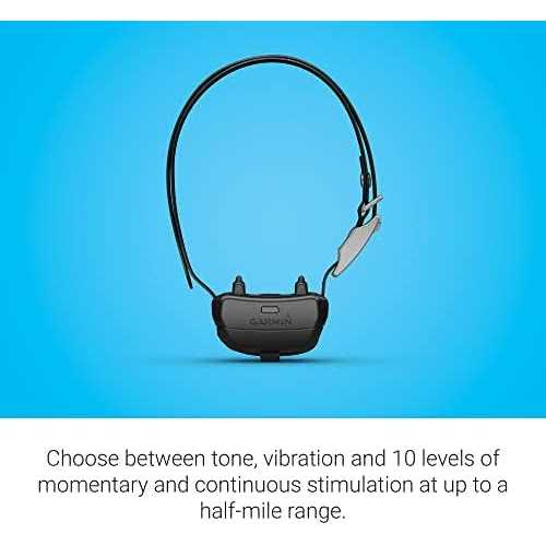 Dog Collar S616053