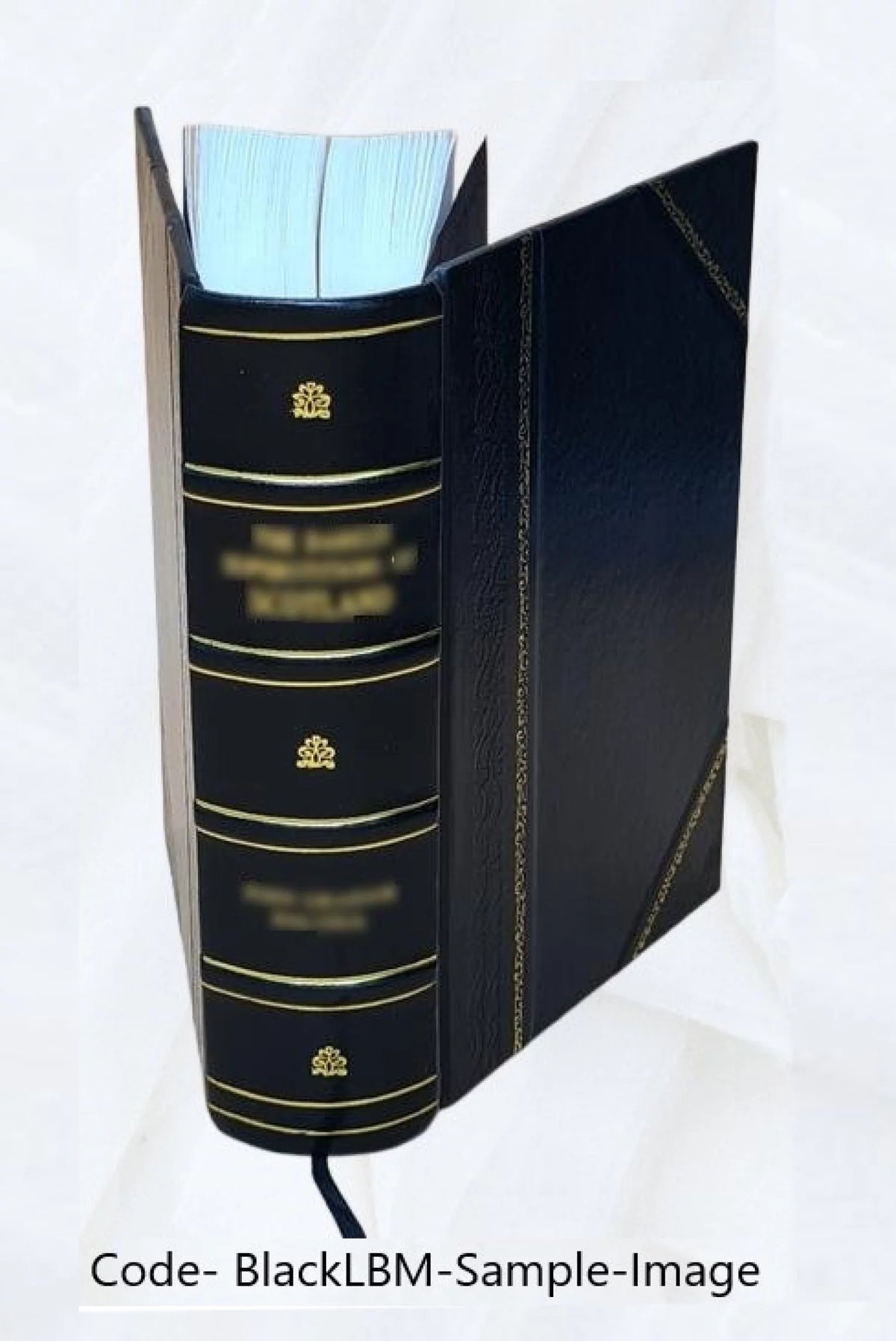 1788 Leather Bound Y713620