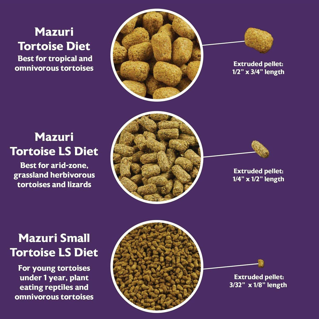 Small Tortoise Diet Food E591007