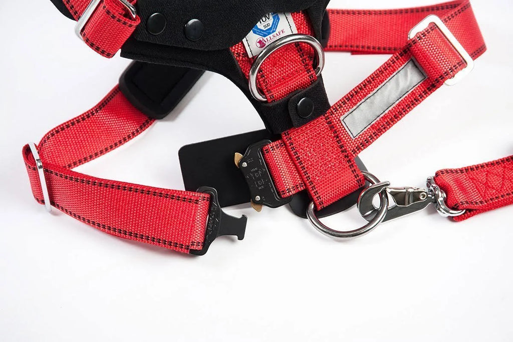 Comfort Safety Dog Harness F44944