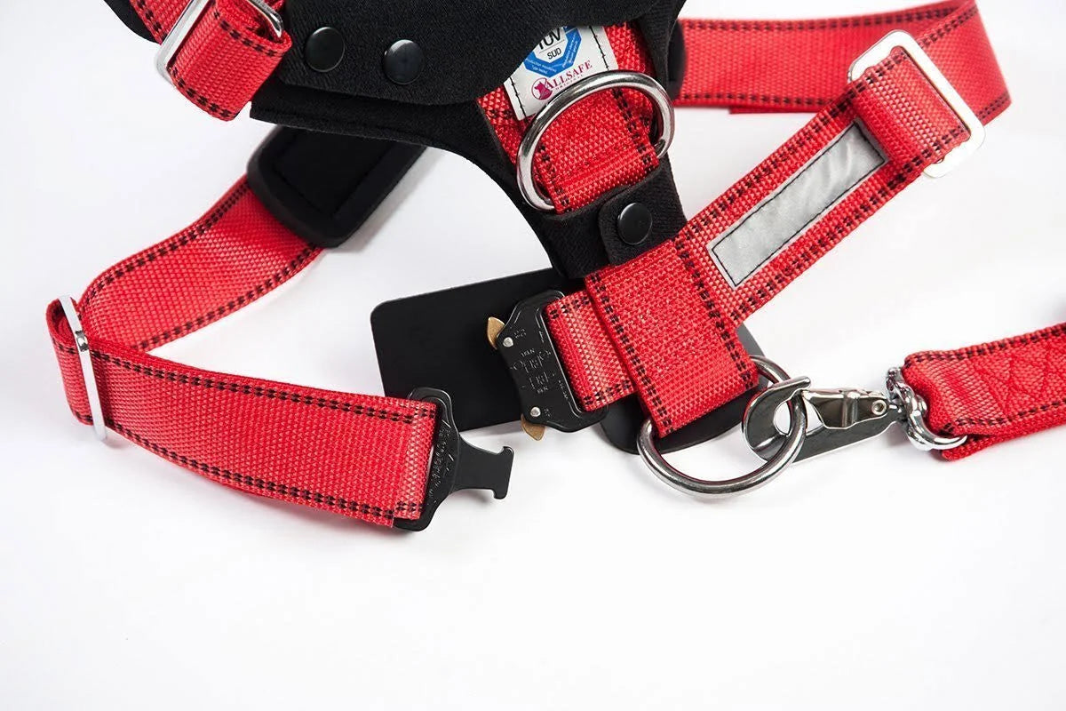 Comfort Safety Dog Harness F44944