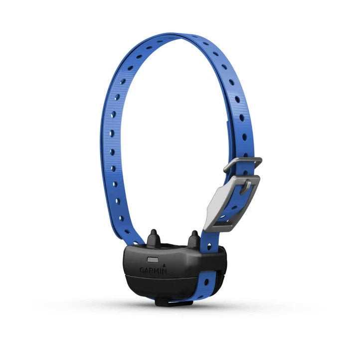 Dog Collar S616053