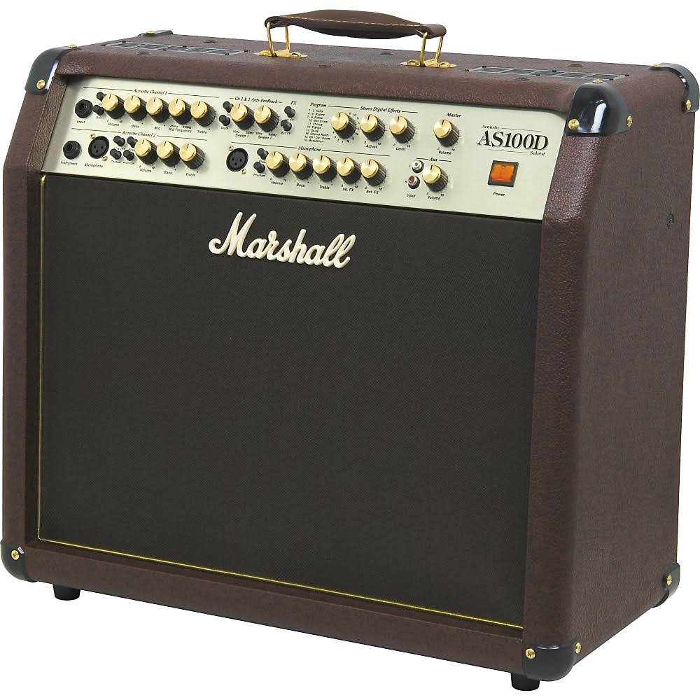 2x8 Acoustic Combo Amp R40259