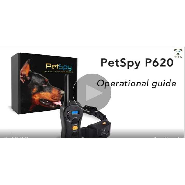 Dog Training Shock Collar for 2 Dogs with Vibration Electric Shock E48367