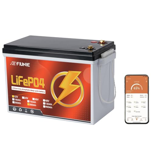 12V 100Ah LiFePO4 Deep Cycle Battery with Bluetooth A90282