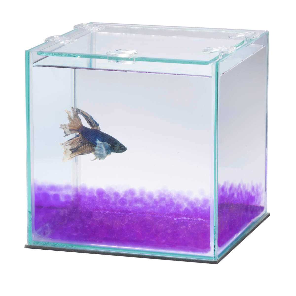 Betta Beads H85788