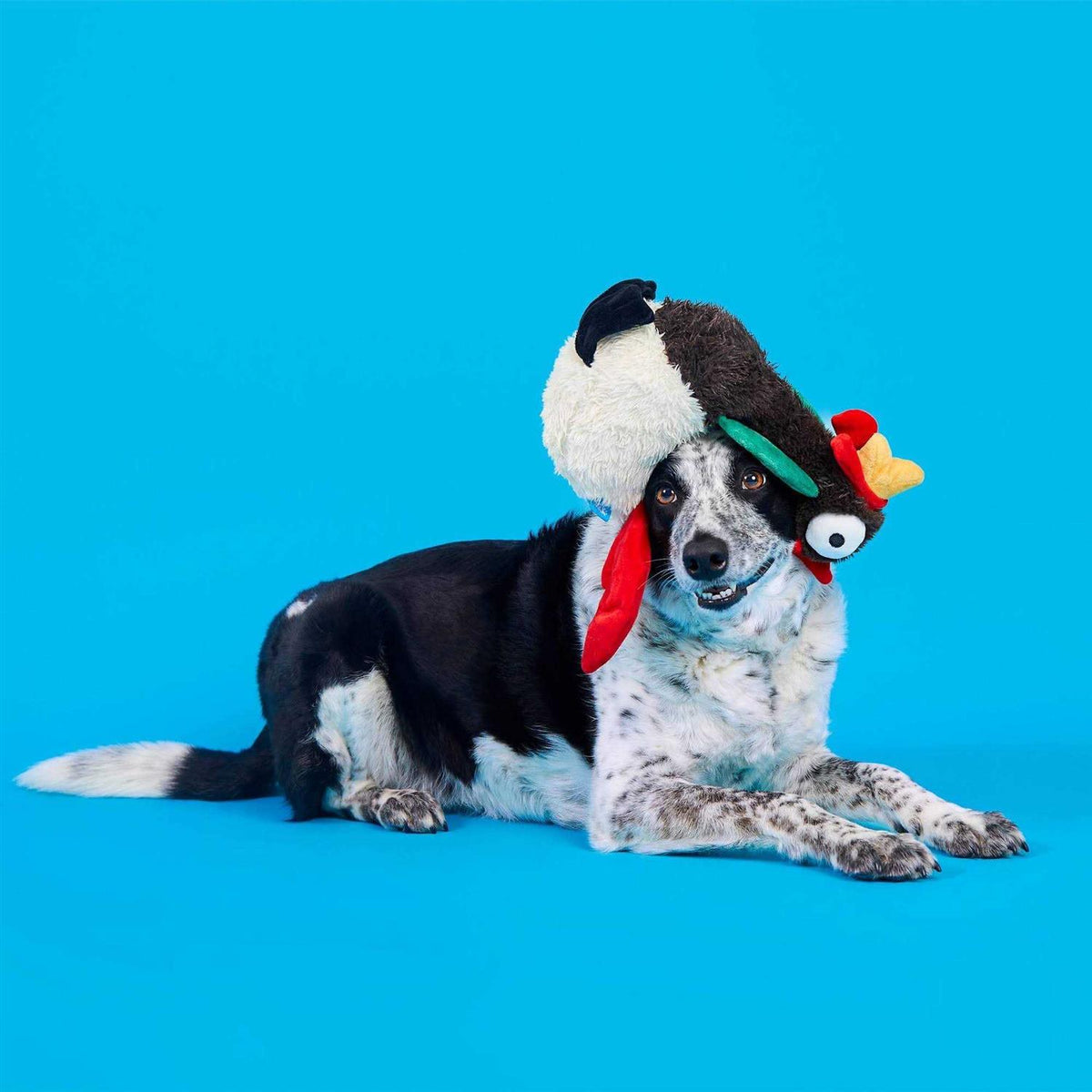Dog Toy W768