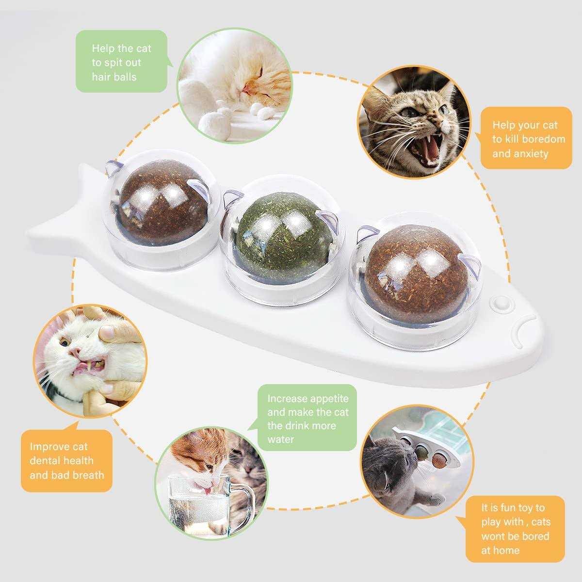 Catnip Wall Balls Toys for Cats P909