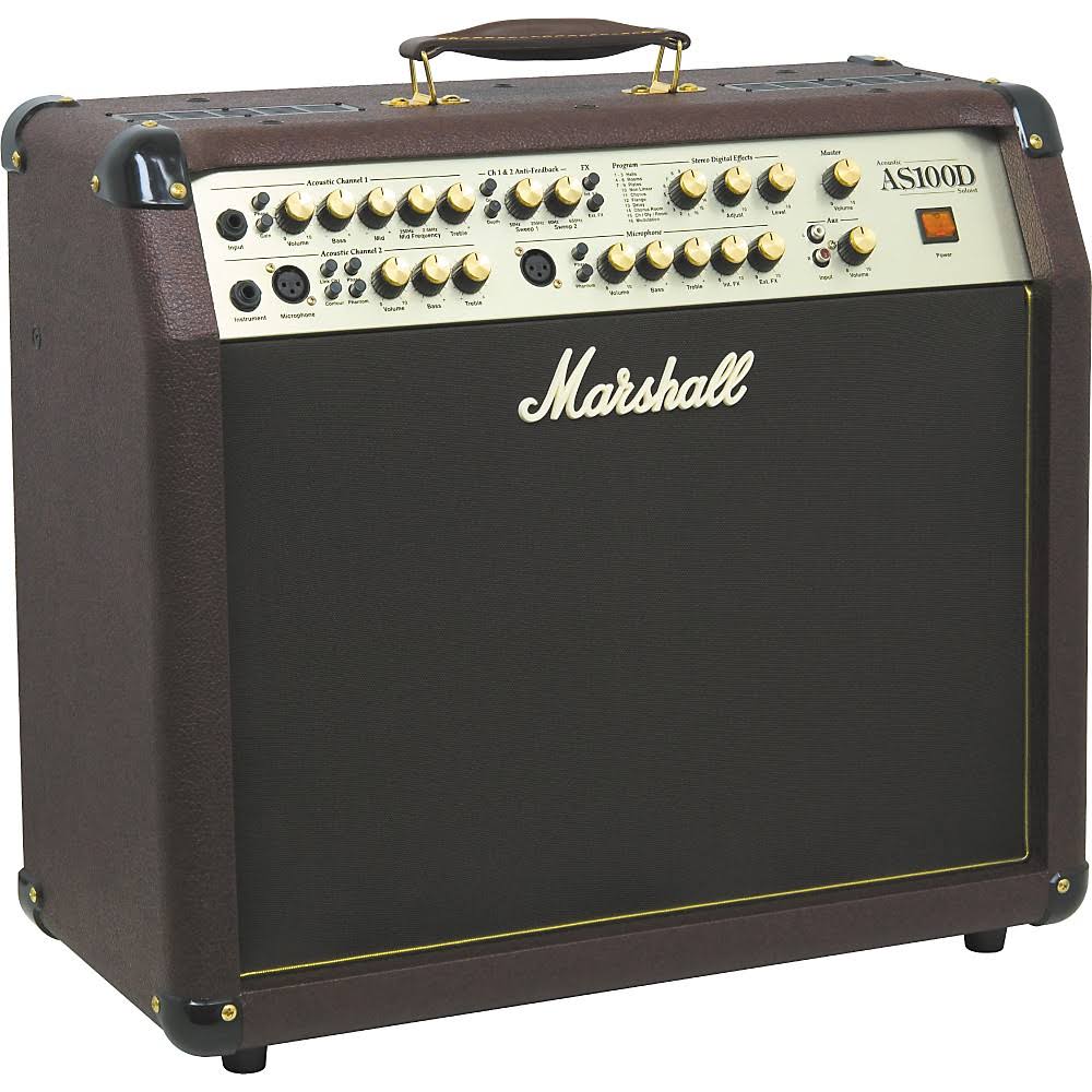 2x8 Acoustic Combo Amp R40259