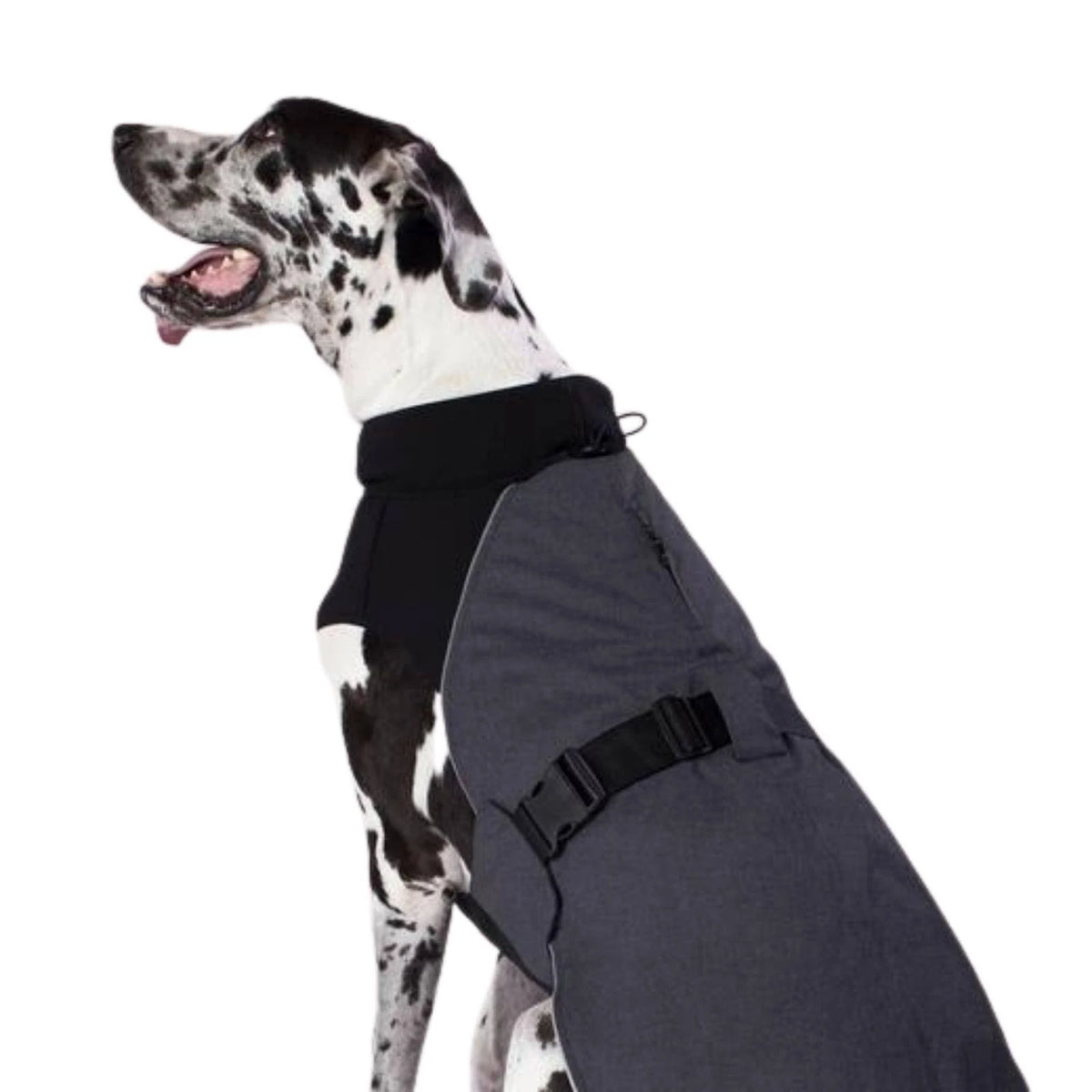 Charcoal Dog Coat G112126