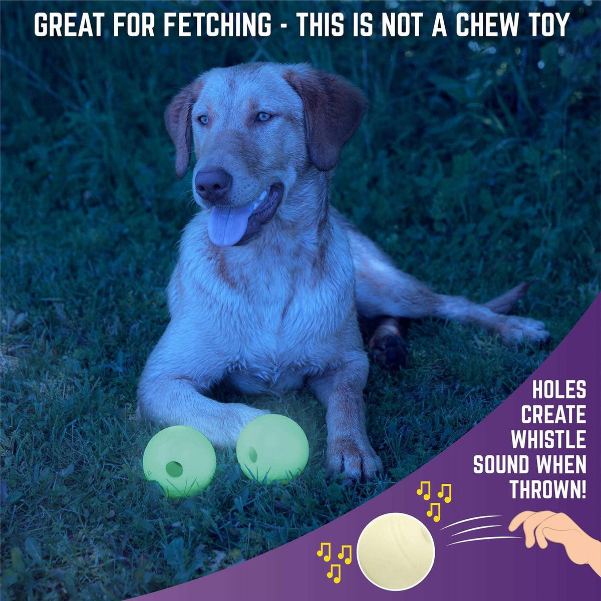 Glow Ball Dog Toys N488