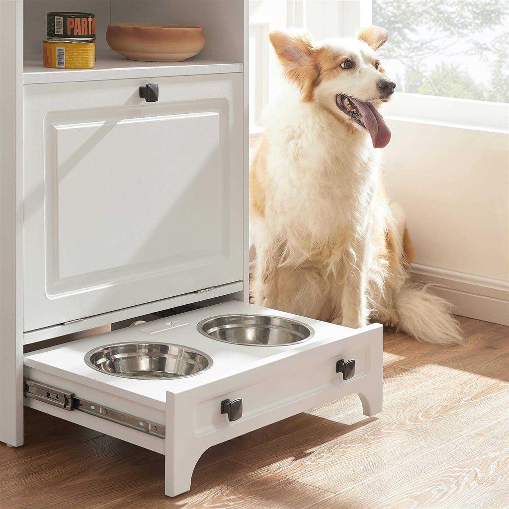 Modern Pet Feeding Station with 2 Elevated Dog Bowls Y104198