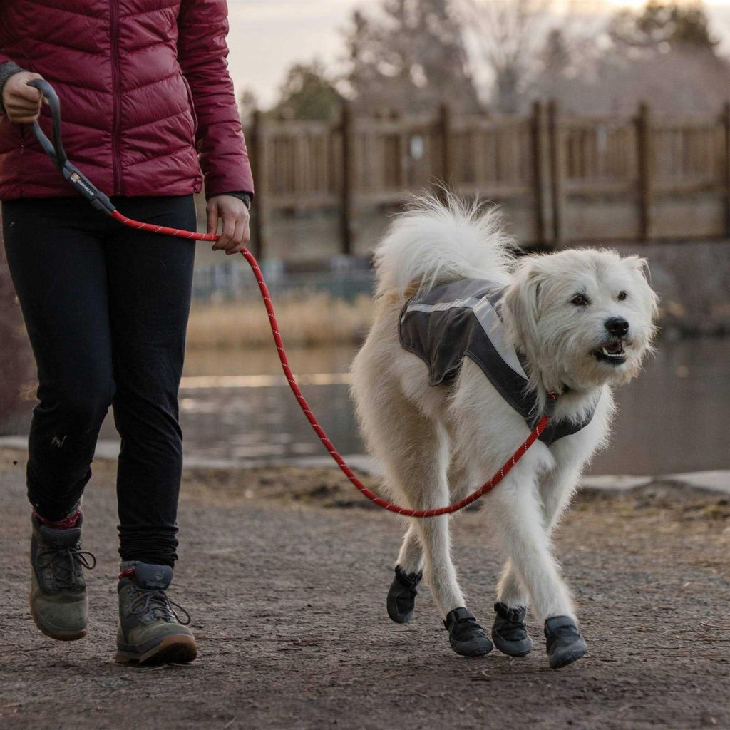 Cinch Leash B5322
