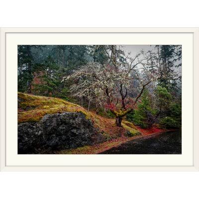 Photographic Print White Frame 28x22 H x 38x22 W x 1x22 D I359