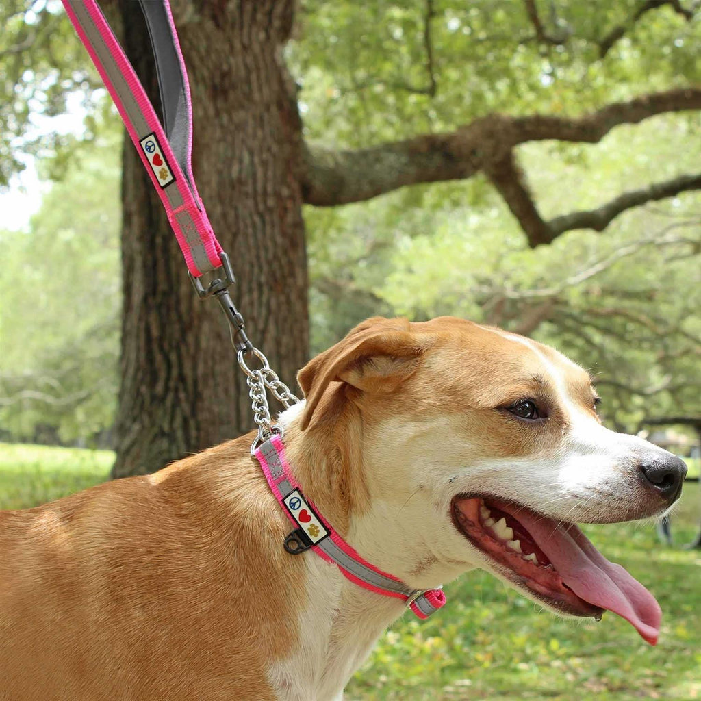 6 ft Solid Dog Leash I55543