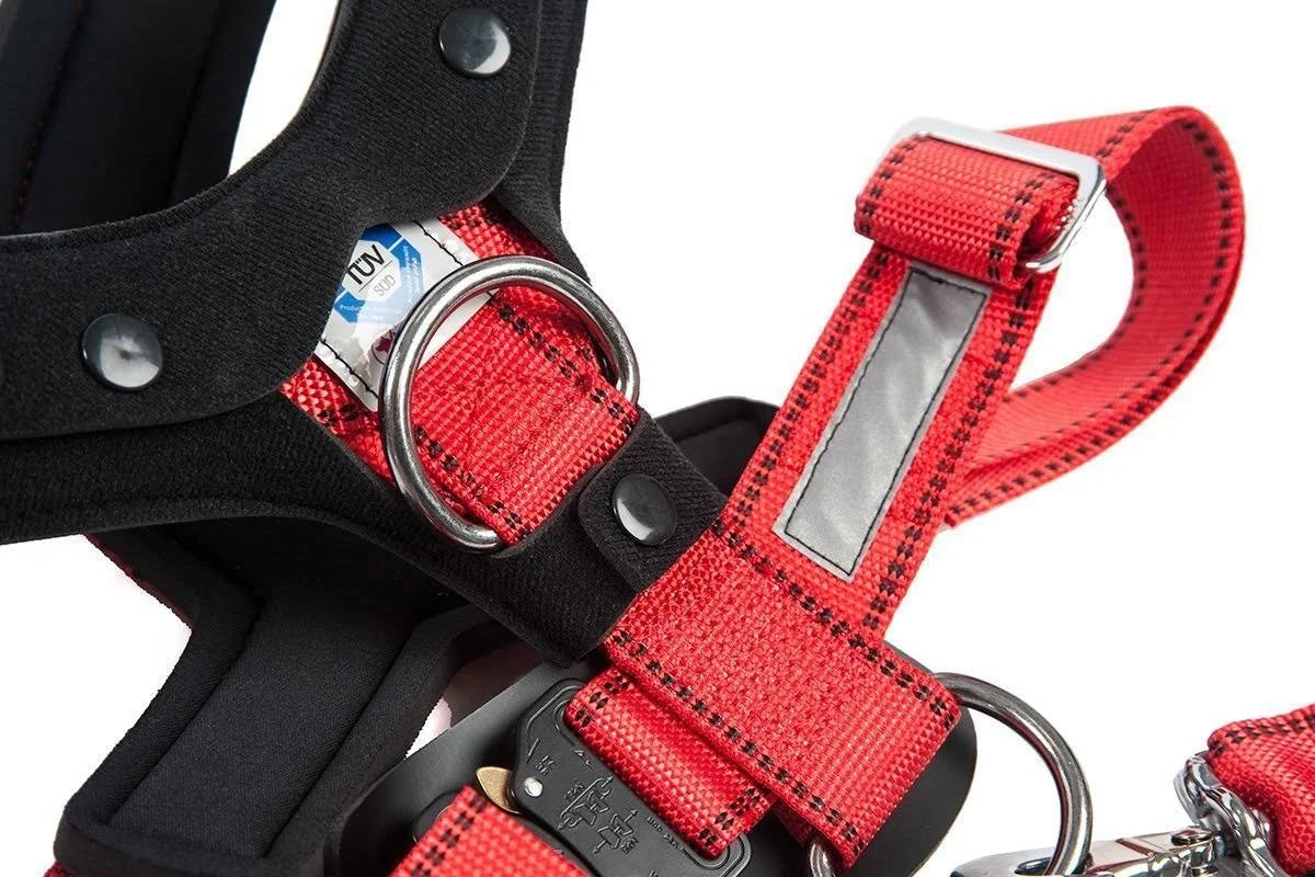 Comfort Safety Dog Harness F44944
