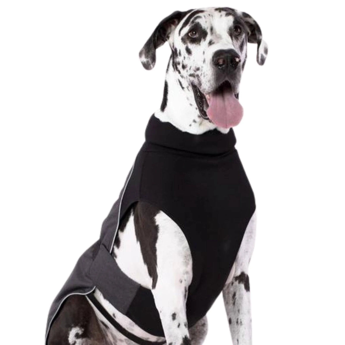 Charcoal Dog Coat G112126