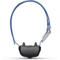 Dog Collar S616053