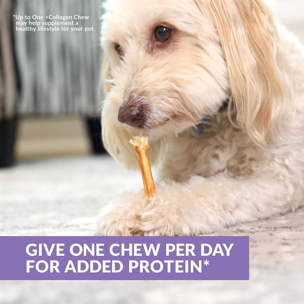 Beef Collagen Sticks Dog Chews K517331