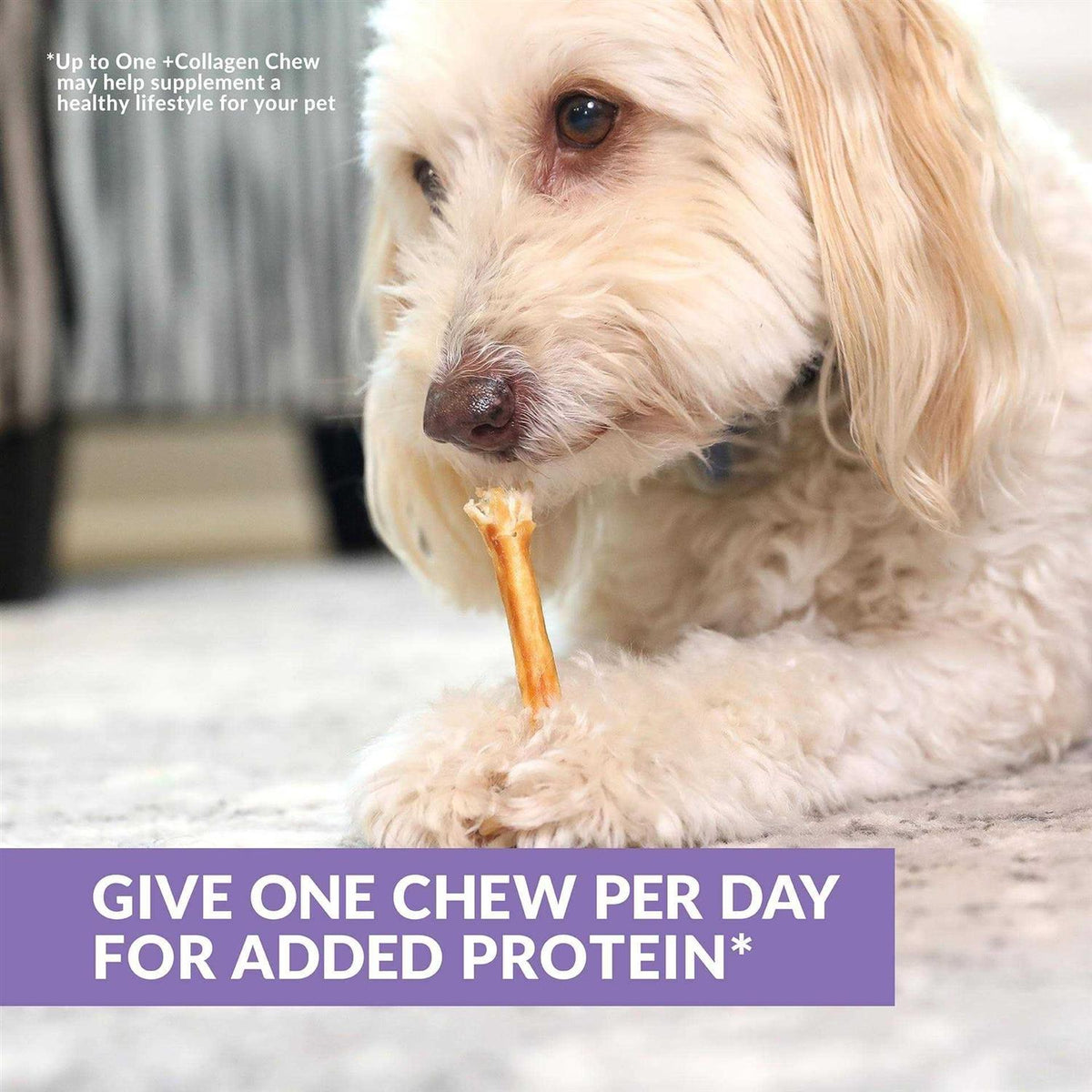 Beef Collagen Sticks Dog Chews K517331