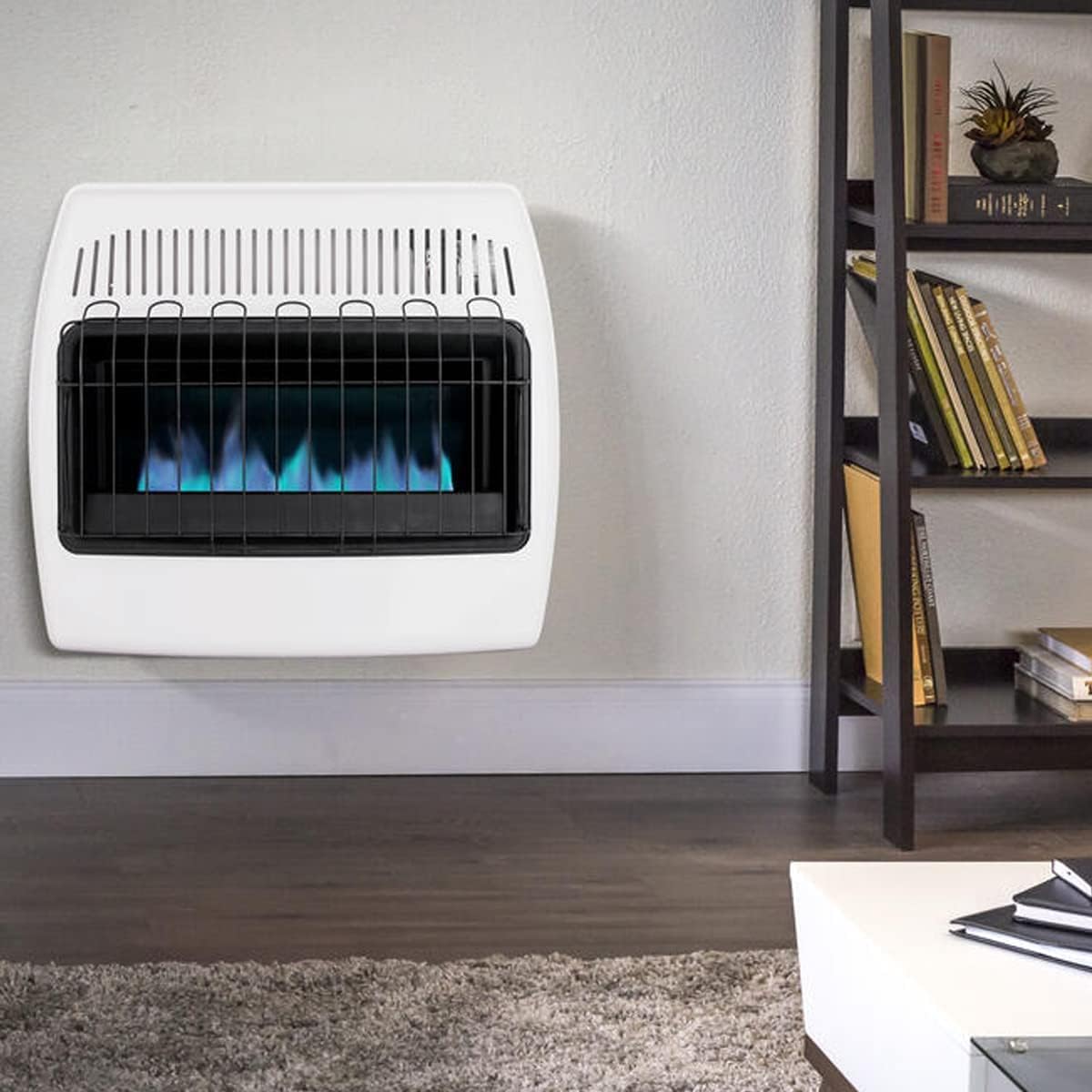 White Propane Natural Gas Wall Heater Q656670