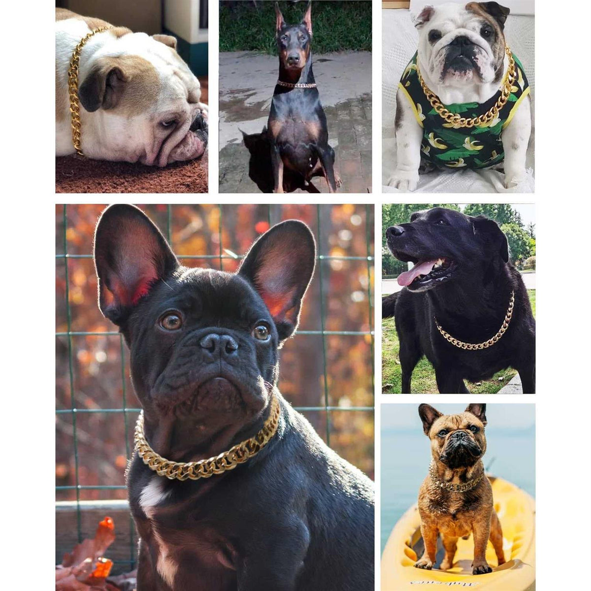 Gold Chain Cuban Link Dog Collar L980