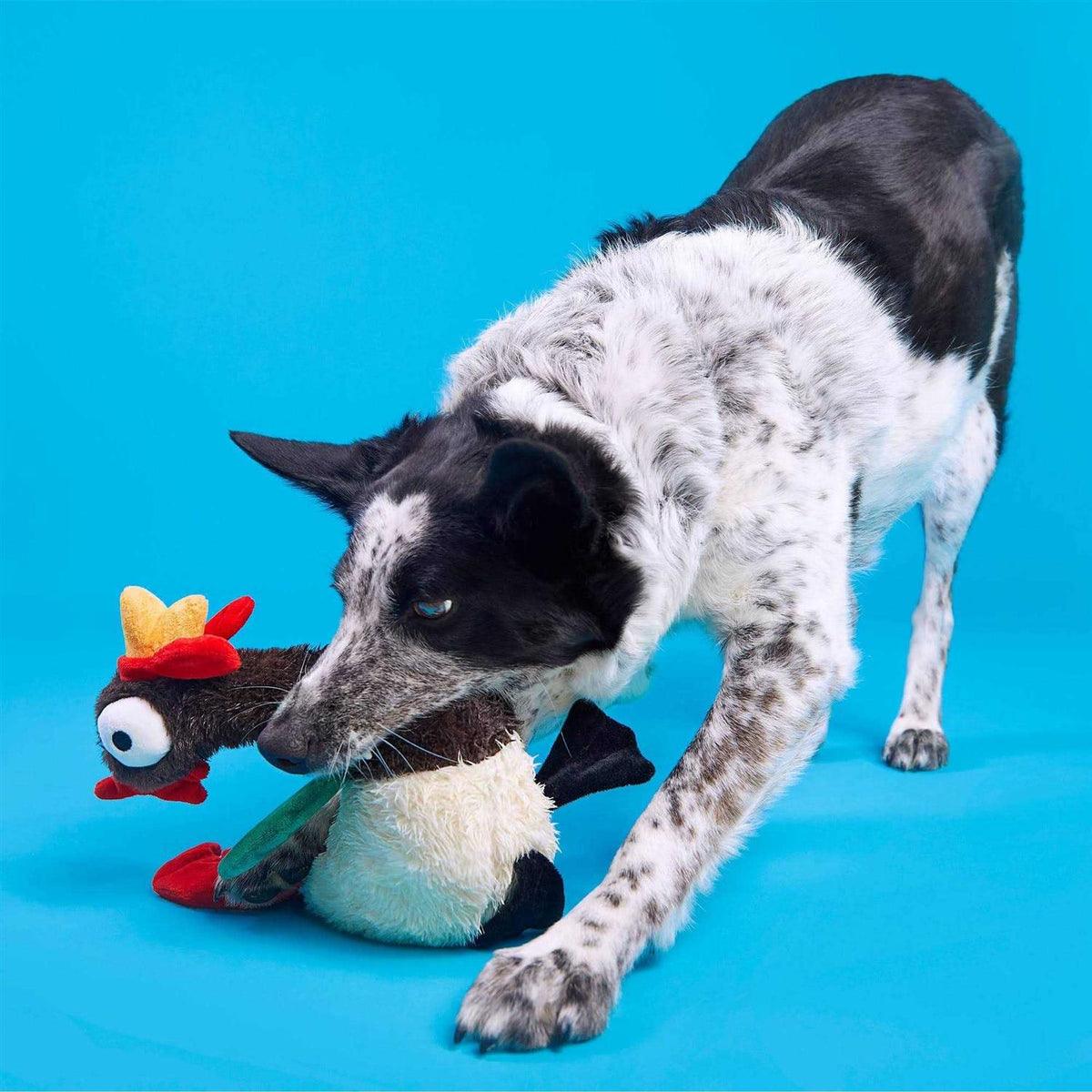 Dog Toy W768