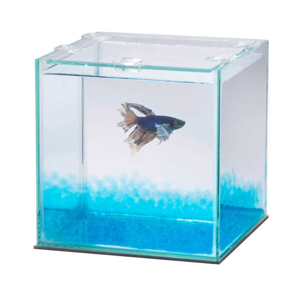 Betta Beads H85788
