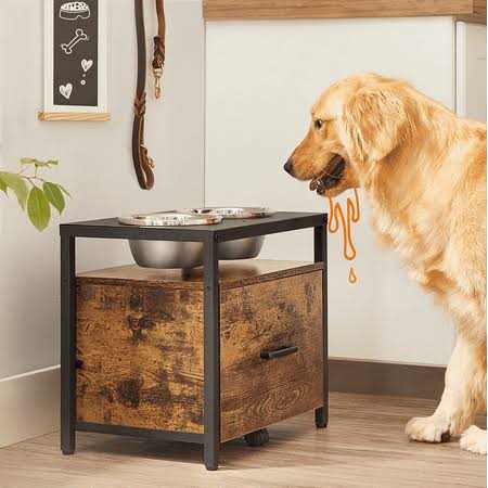 Elevated Dog Bowls with Storage Drawer 2 Bowls H315787