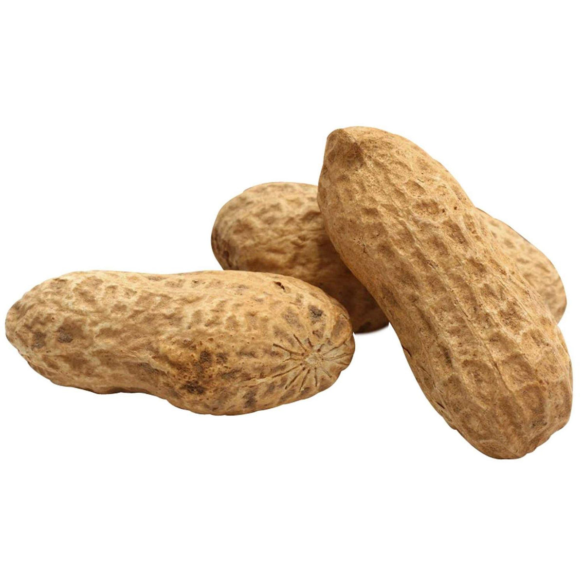 Unsalted In-Shell Whole Peanuts Bird Food A93763