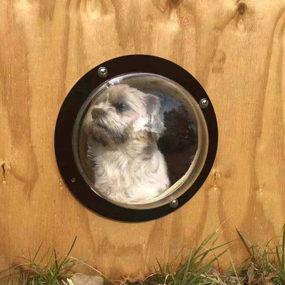 Dog Fence Window G908312