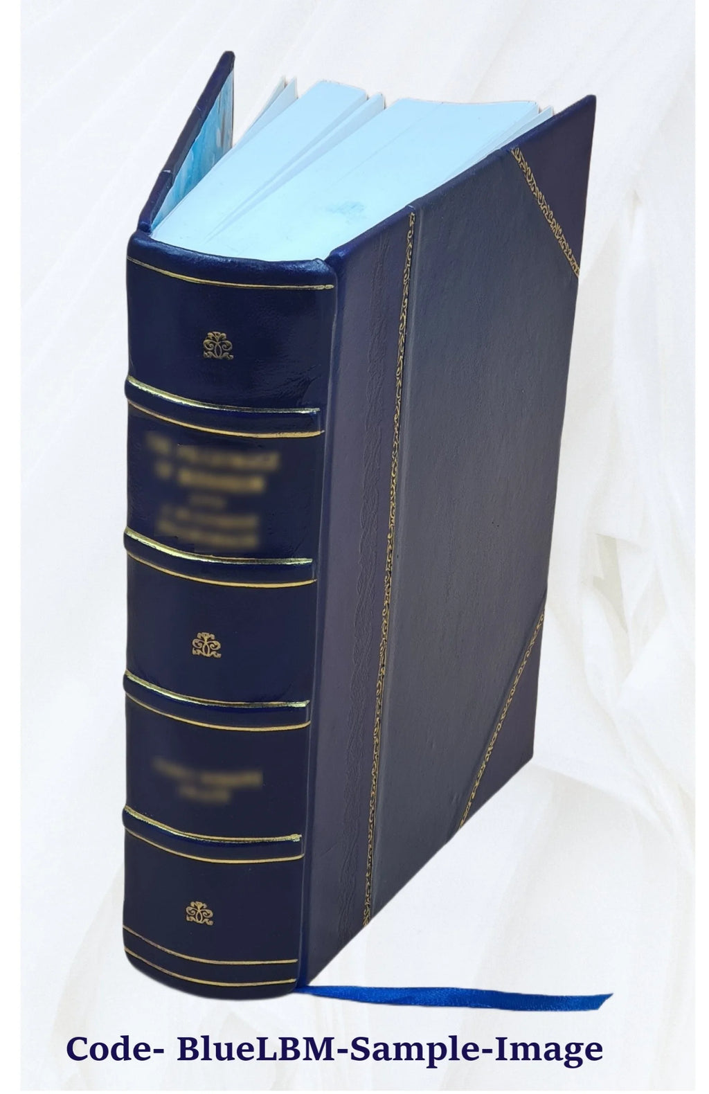 Leather Bound Bible M326