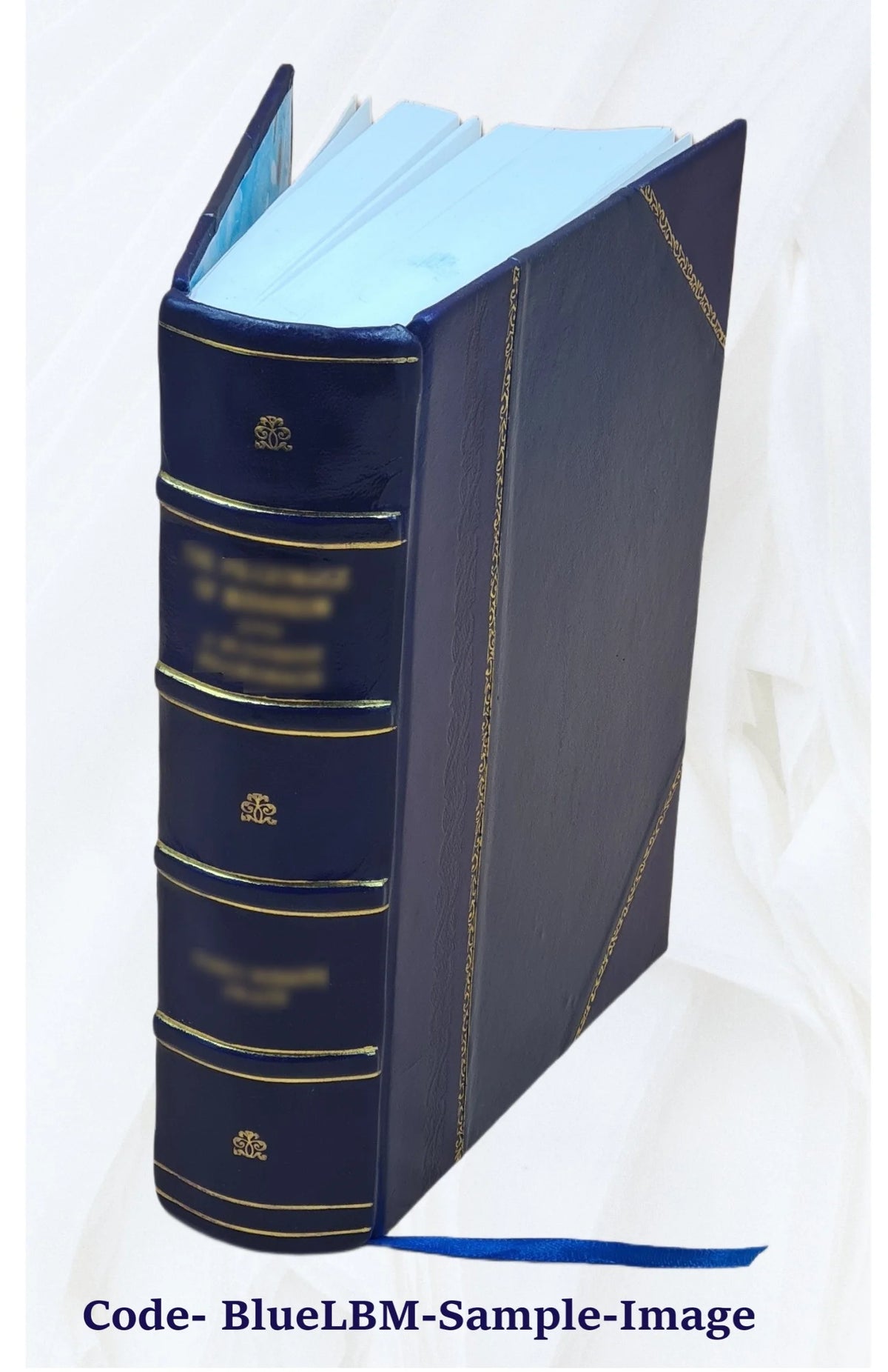 Leather Bound Bible M326